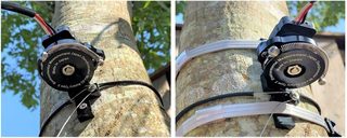 Dendrometer-MIJ02T3.jpg