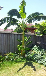 image1.jpg